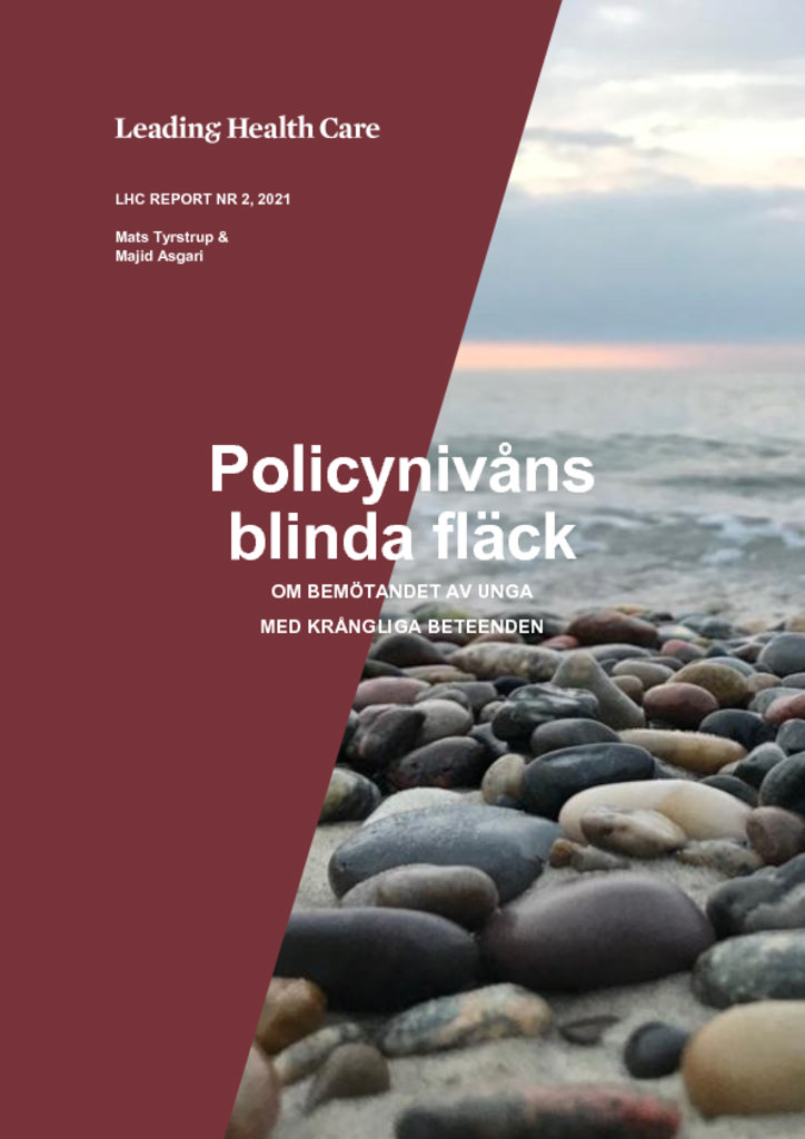 thumbnail of Policynivåns blinda fläck_slutversion